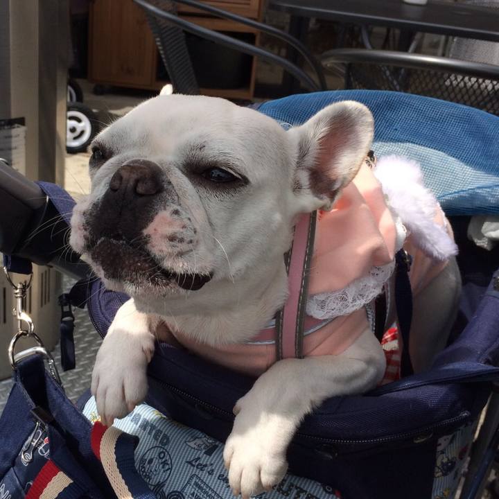 2fda181d 202d 45a4 a34d 1beba551dea5 1521968727005