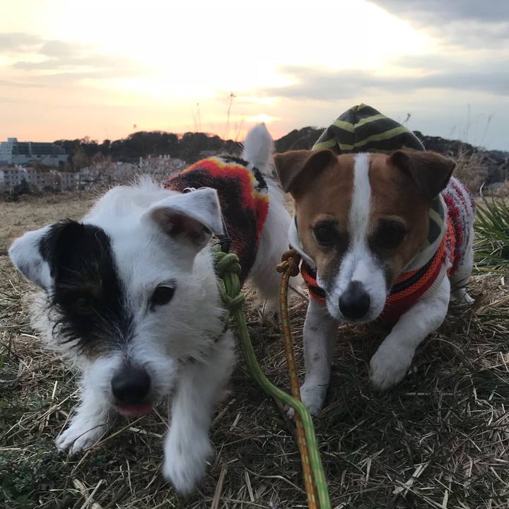 2fda1a44 0b82 4683 9765 c75e2e9a96de 1519202531945