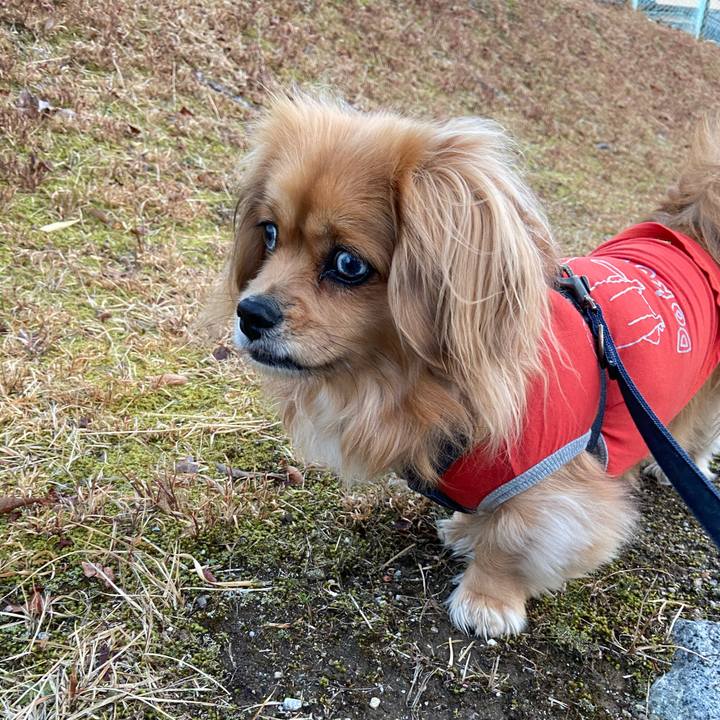 2fda2302 2d8f 4d4c 84e9 cf17b10ec892 1582581885690