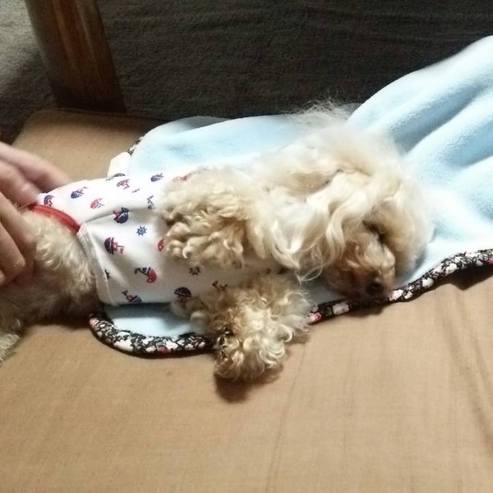 2fda5154 05e7 4519 8408 3ae7cd13637d 1526648370693