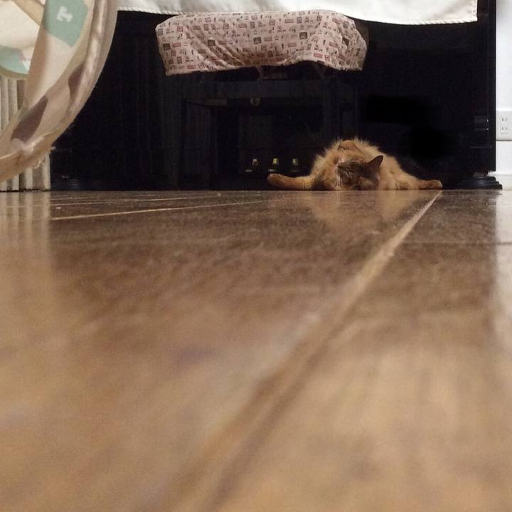 2fda83f4 ca94 43ef 932d 6837fa18a420 1628606204910