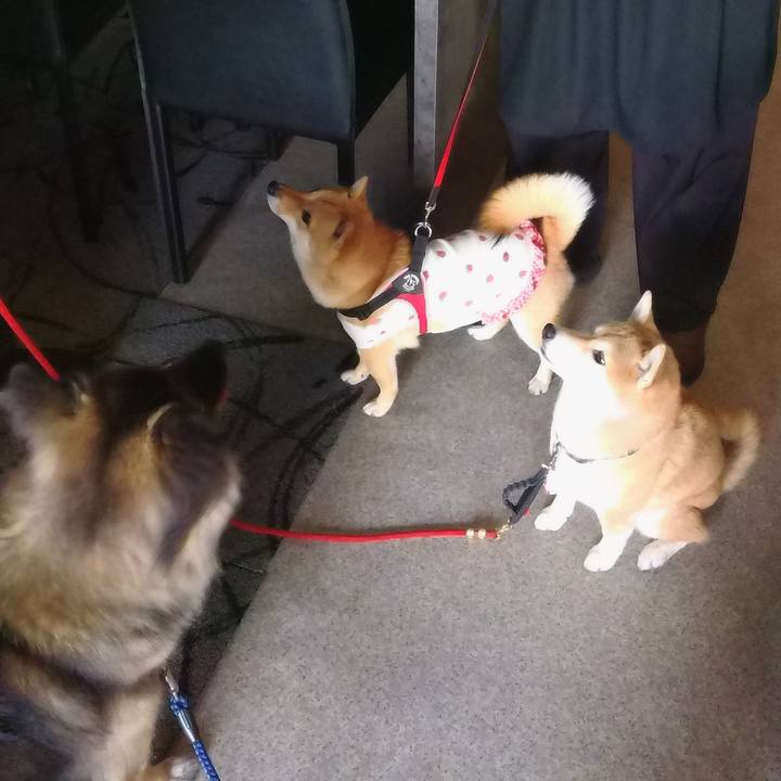 2fda85a9 51f7 4b06 ac58 10684001ae88 1760155573313