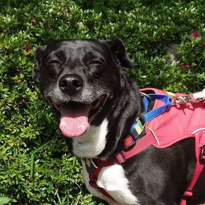 2fda976f effb 4461 b0fa b6c0ebab04e2 1684284233991