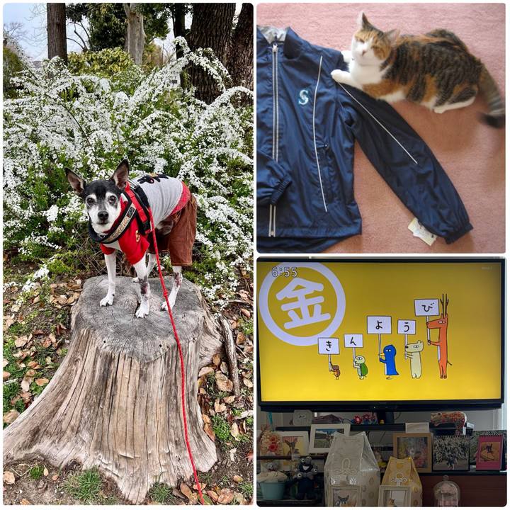 2fdadb28 8f56 4ee6 baf1 4e16b84456bb 1774563717554