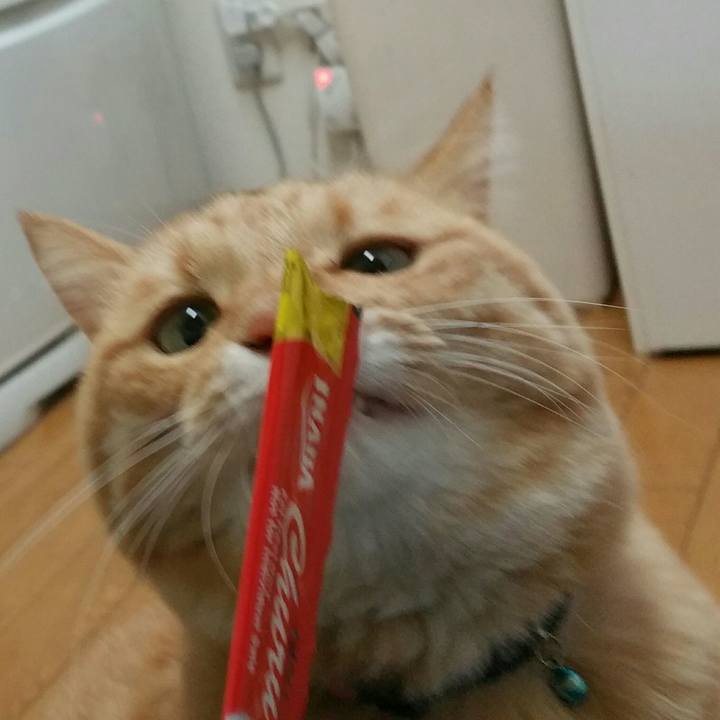 2fdae1e5 9322 41f1 a64b d86e13ce97bf 1513322450057