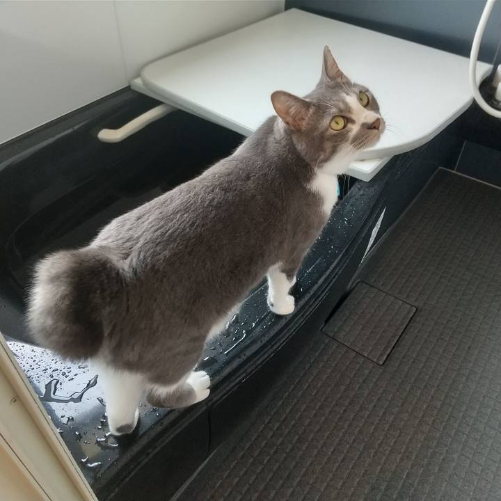 2fdb4226 fe88 4a44 b732 1c910ec61af5 1627022323049