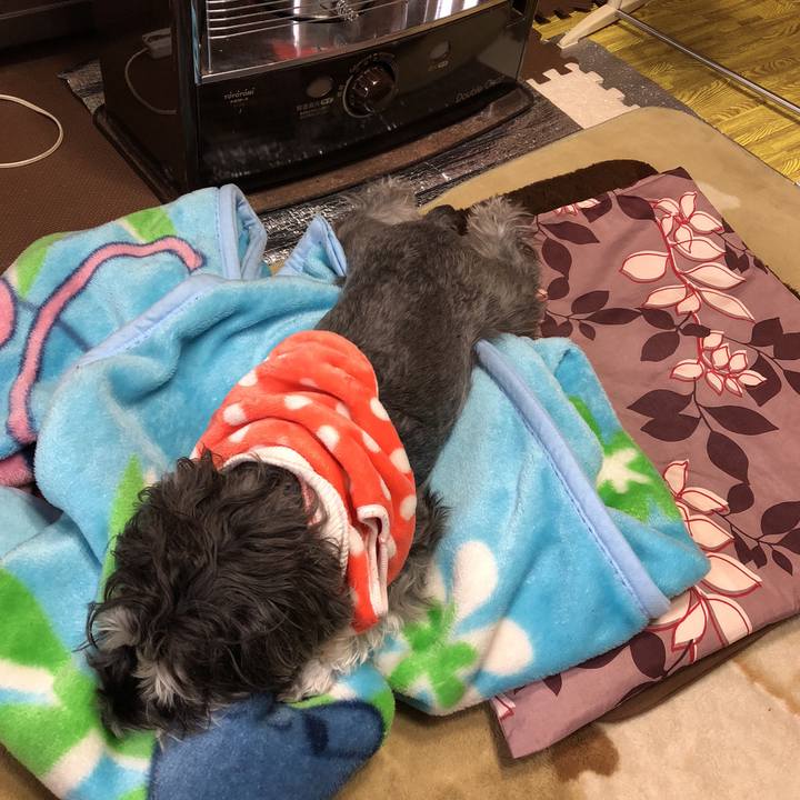 2fdb4f9f 1fb8 4d72 ae8b 118847655d16 1515821031666