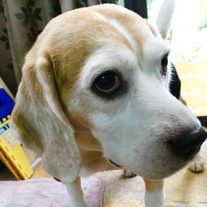 2fdb59f0 24fc 4308 932d 6f50be70224f 1576211901748