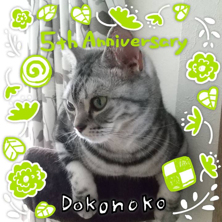 2fdb5dab f4dc 4658 9f44 14fb8c282d68 1622893593518