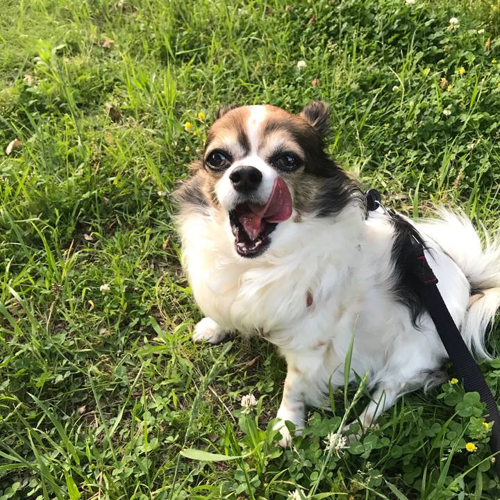 2fdb9250 3eaf 4dfa 8ed0 58a5cc0f4692 1692282120169