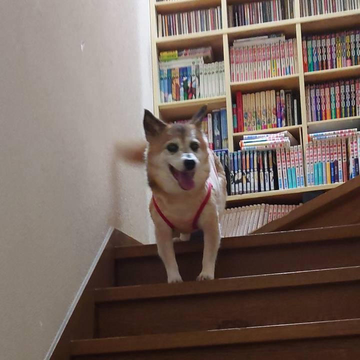 2fdbc9dc ab45 43b9 b2a1 0e1057901b51 1718933437013