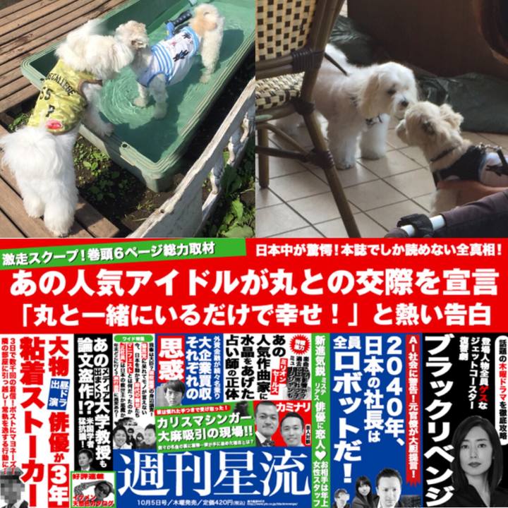 2fdbd365 dd78 4722 835d d6b388d11221 1508591319143