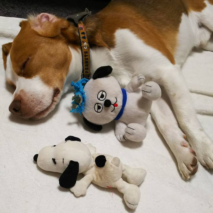 2fdbea31 0a58 4b83 b959 96d43e37406f 1559827052108