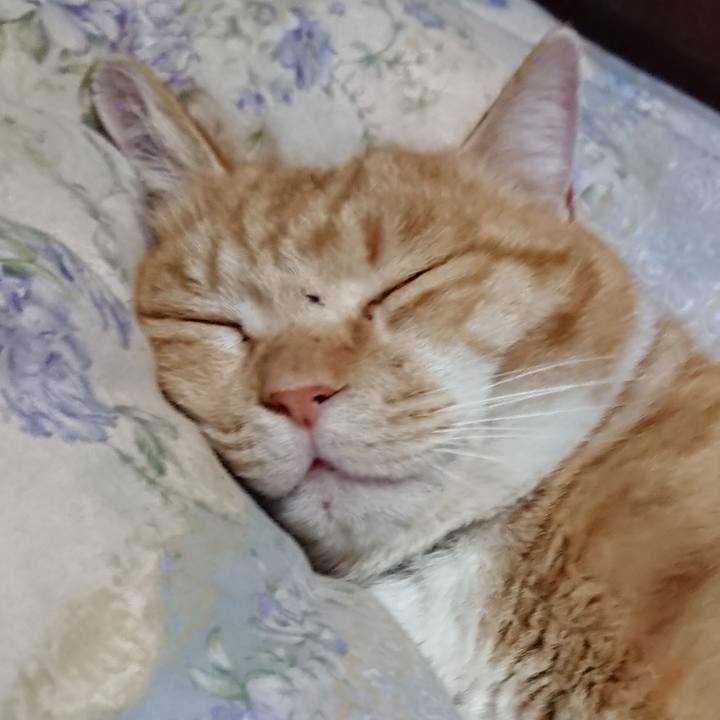 2fdc0bb4 adf8 4109 a484 c400943f2169 1579955920078