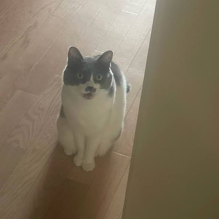 2fdc2740 2572 4dc3 8b55 f9db00866d3a 1737184413670