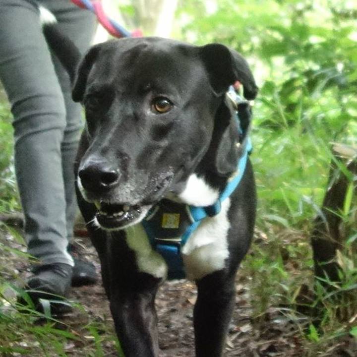 2fdc2cf8 f8ac 4f1b 89dc 77340b6332fc 1622507590697