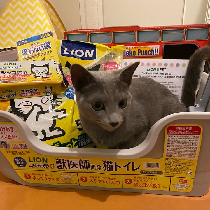 2fdc6388 0193 4047 b3ec 340c3da266c1 1701744375402