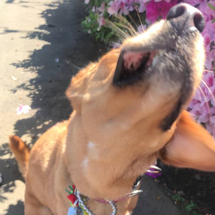 2fdc7ab5 99cc 41cd bb2e 4ff9a44b5a31 1557354882875