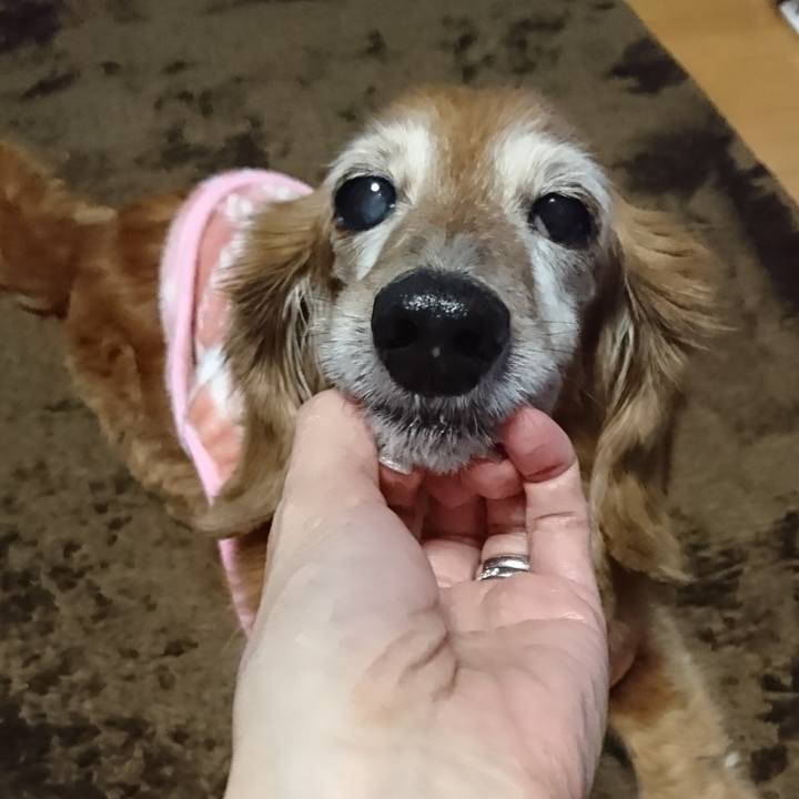 2fdc7cb7 ca0c 4174 b006 4361d68e73f4 1700411598166