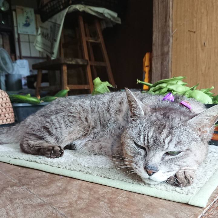 2fdc7e93 8b2f 40bd aa0b b1623f8c04cd 1595645837453