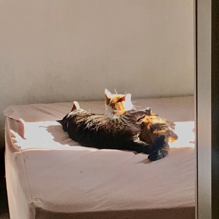 2fdc8813 041b 4ba5 86aa 4b64bb4cfe53 1676818931498