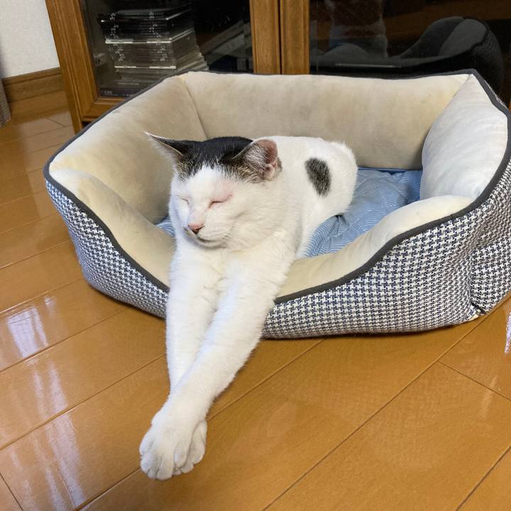 2fdc9c5e 54a3 4c59 b067 00474548457c 1652952606322