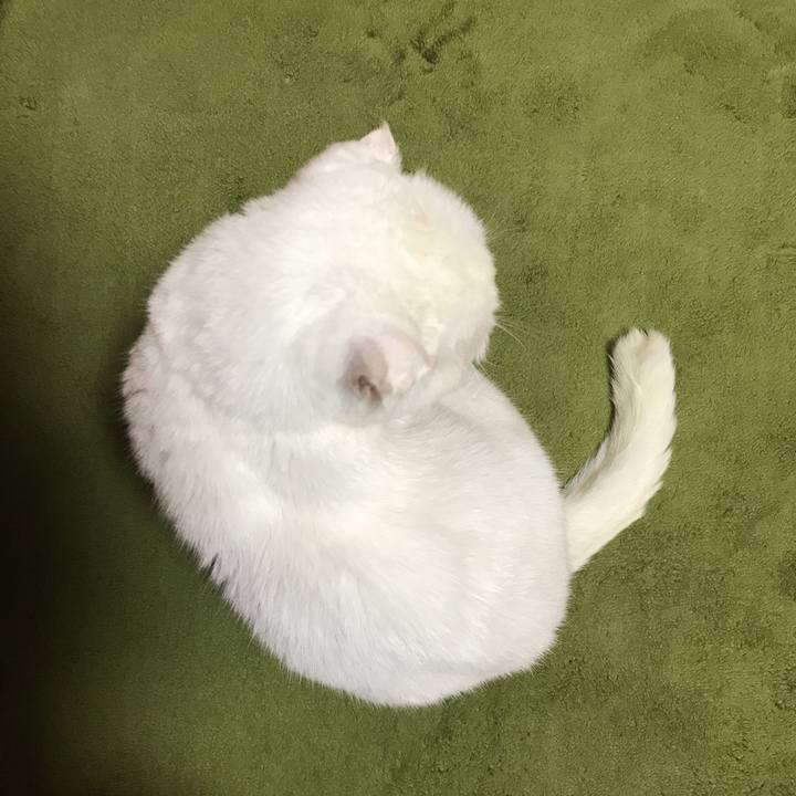 2fdcad75 c36b 4079 bbca 9d93905e0e55 1512661983054