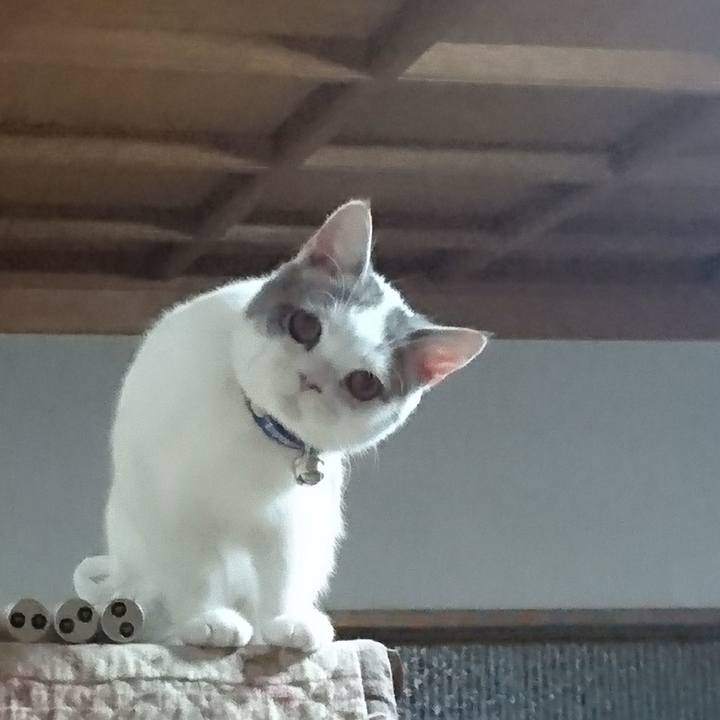 2fdd1a87 bbb4 436f 8cef 39c7ae84cc93 1544096977055