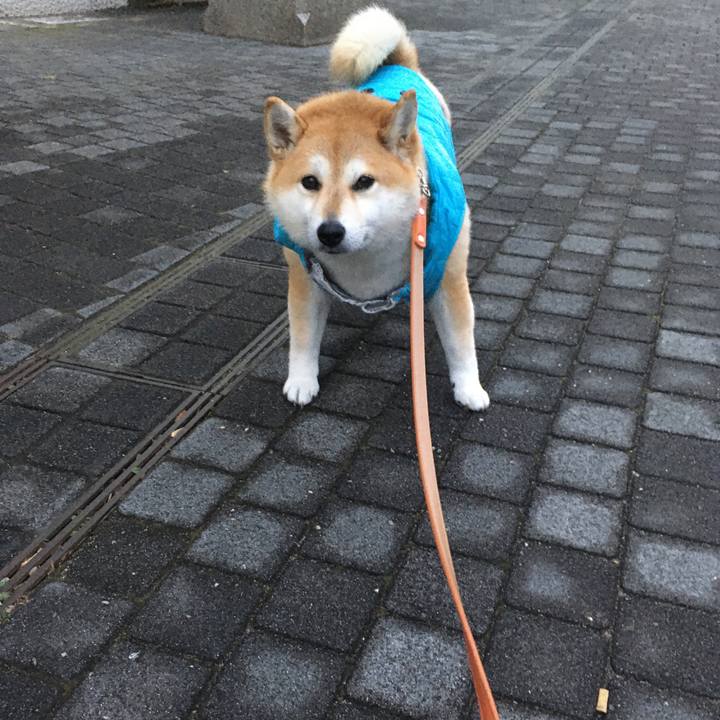 2fdd2ccf 1c98 4194 9c1a 8978b6247482 1577692530323