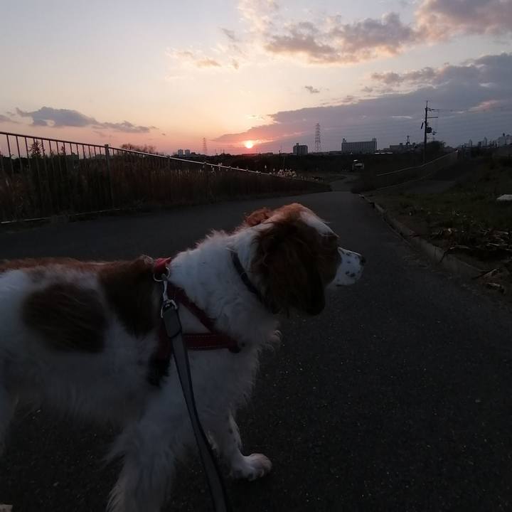 2fdd566c a8da 45f6 a7e5 effe0f1c27fb 1578126761249