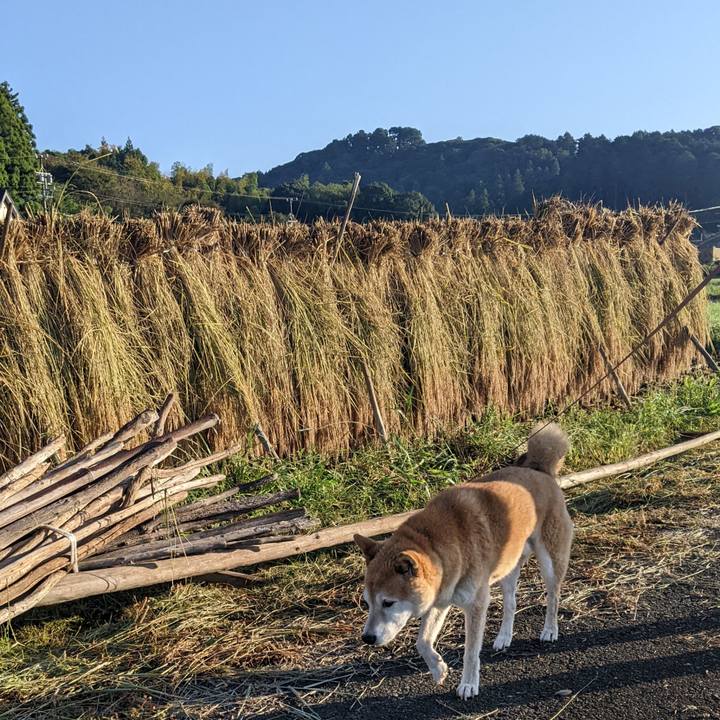 2fdd7619 5803 40c3 9570 35a1da9ef023 1728692253150