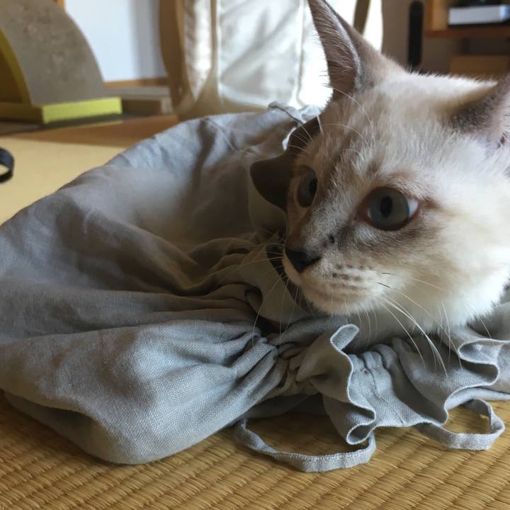 2fdd8fc0 7c9d 4431 87c8 f089d73ab3e8 1537076525512