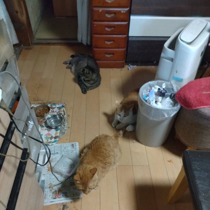 2fddb05e efe4 4ae7 bed5 8148ad61323c 1753090237902