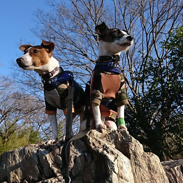 2fddbff6 827e 4f2b 9a97 9b32b0b1c005 1546688148100