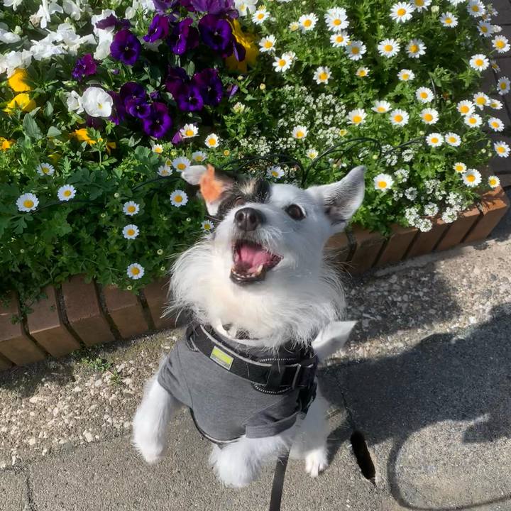 2fddc215 a44f 4c3c 9aed 8cf7d9726c28 1745193584876