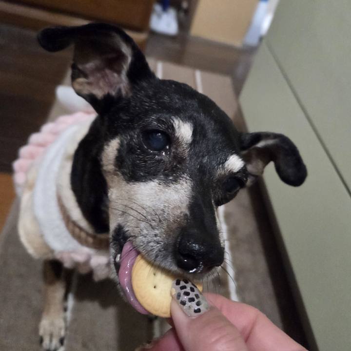 2fddcd7a 26dc 47c9 a0de 66abe351cb48 1766605722088