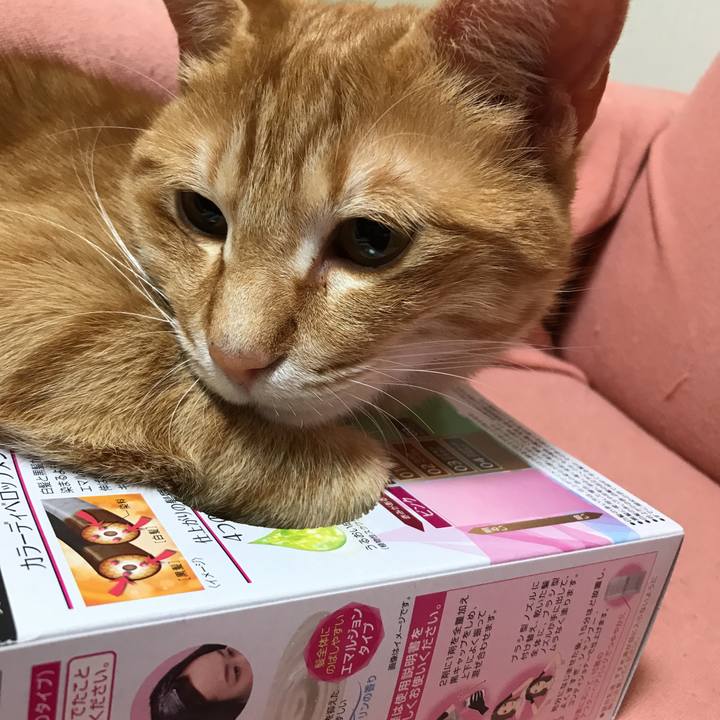 2fddcf82 55b3 4673 84d5 285d748fe05a 1519219839450