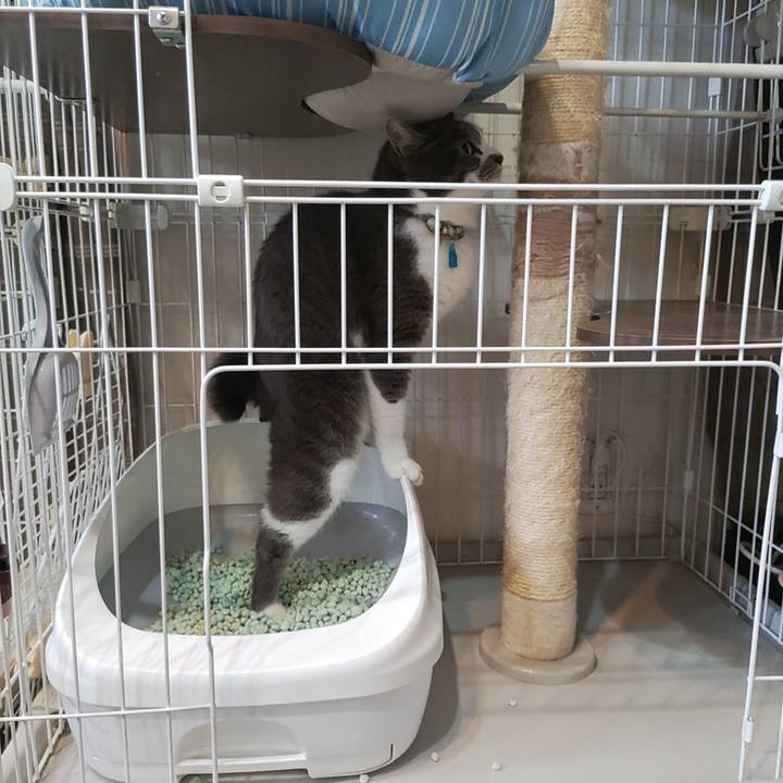 2fddd0c8 2864 445c 981e a8181e98c8cb 1720672695090