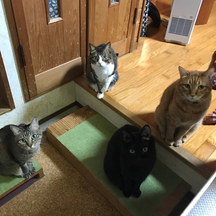 2fdde9dd 4283 4605 96d6 f8f22837fb0b 1549370495996