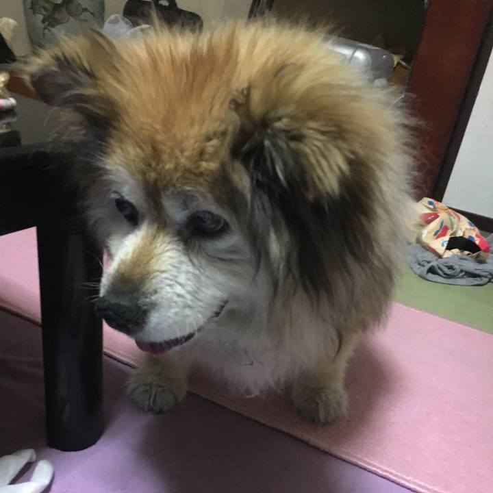 2fdeb006 f931 4fae 9ce7 82ff42e38765 1598057836887