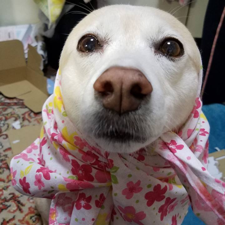 2fdeb742 f1d2 455a b523 c7be098061d0 1579478341407