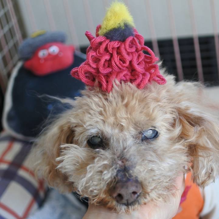 2fded6bf 54cf 4717 a53b 6e36db5e830b 1770066668059