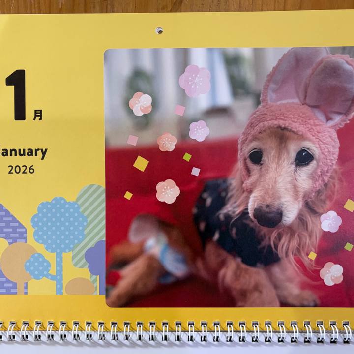 2fdeec96 d95c 4135 997e 59e81b41affc 1767245932394