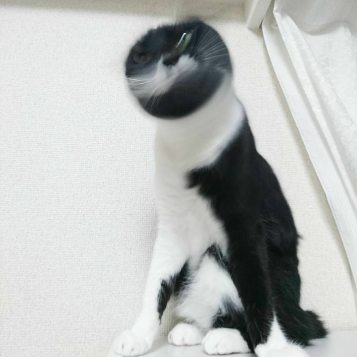 2fdf08aa 5411 45f7 9e85 95bbffaf6500 1528687330033