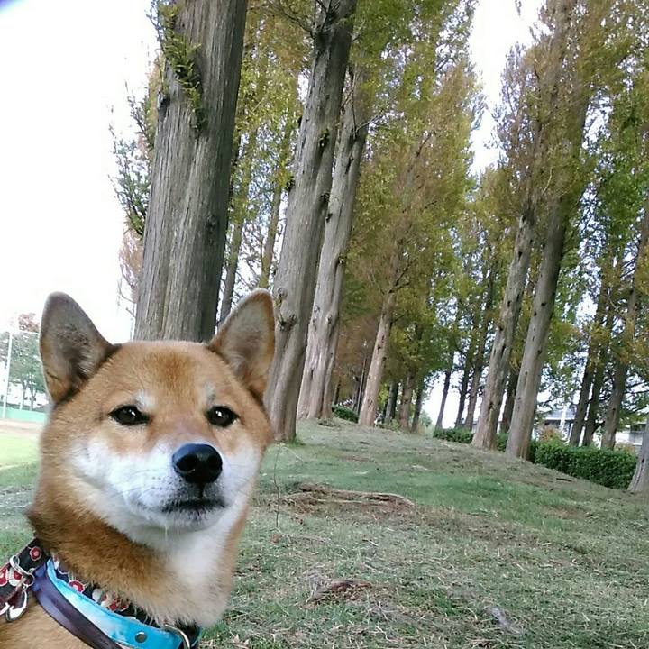 2fdf1f75 14d7 4356 935a efa41c53ea31 1539908722774