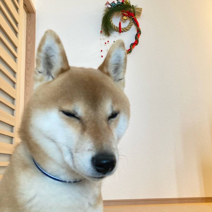 2fdf4b8a e404 4f44 ab7c d4ee3d8f766e 1672806132922