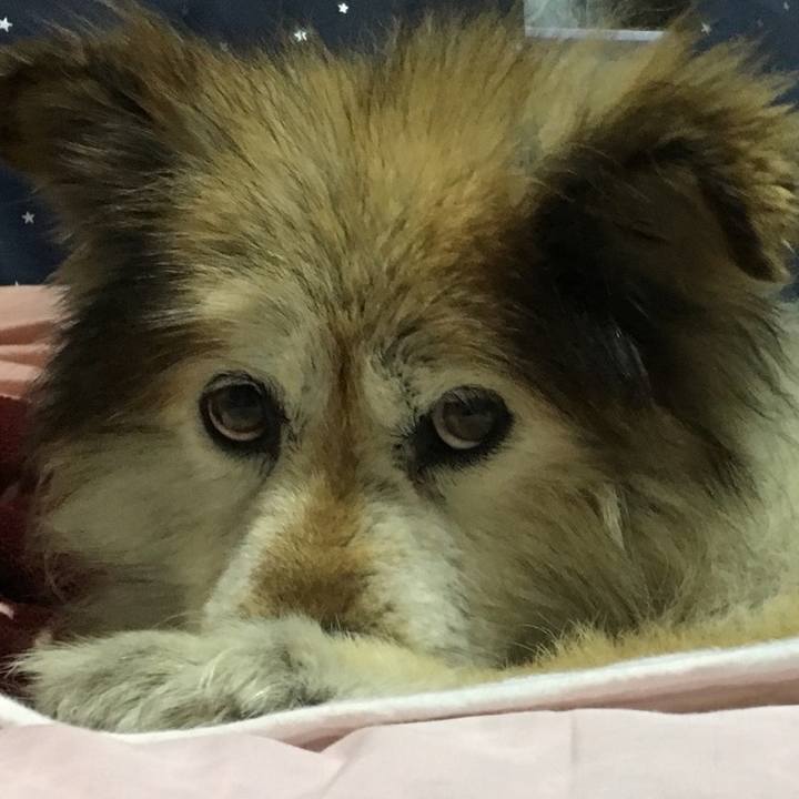 2fdf620f afce 42bf 8ebd 726e7ffbc1a0 1614054905896