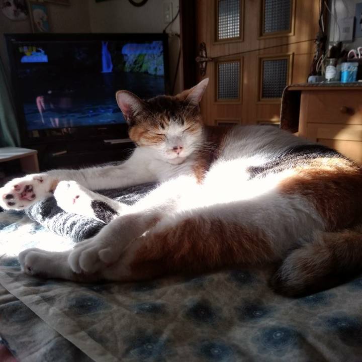 2fdf7975 32fa 4699 bfcd 4e665d7718ed 1618912366284