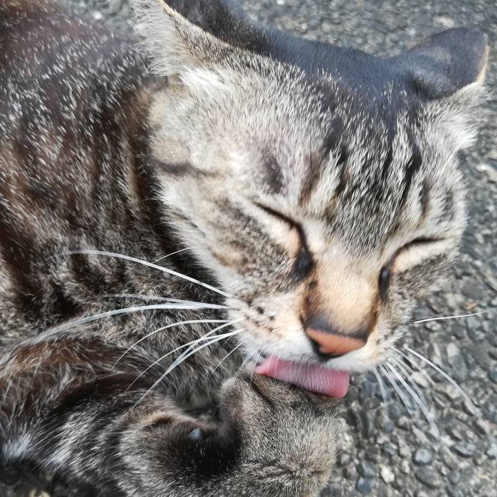 2fdf7fa2 6d7b 4326 b0b9 aea9dd59f285 1591945743924