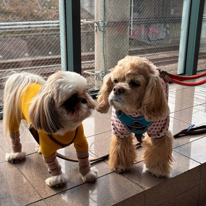 2fdf8501 46a4 4850 a8b8 6988306d67e6 1771159175981